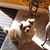 Jamie Kistler's profile image