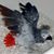 Cindy Moore's profile image