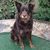 Cheryl De Fusco Schultz's profile image