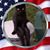 Mary Ellen Karakis's profile image