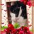 Fawn Cox's profile image