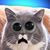 Laurie Vogt's profile image