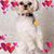 William Krause's profile image