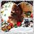 Linda Mason Carey's profile image