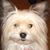 Patti Tanner's profile image
