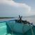 Gina Gallina's profile image