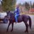Tish White's profile image
