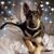 Michele Cartright-Durdee's profile image