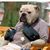 Dan Simmons's profile image