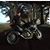 Nrojb Bear's profile image