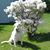 Linda Jenkins Gadapee's profile image