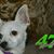 Deb Larabee's profile image