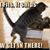 William Roberts's profile image