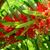 Carol Merrill's profile image