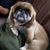 Pamela Wagner's profile image