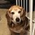Ann Duquaine's profile image