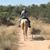 Nancy Peters Hauschild's profile image
