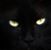 Saleh A Shaar's profile image