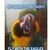 Karen Renee Woods's profile image