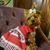 Patty O'Hare Skinner's profile image
