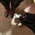 Sarah Griswold-Hall's profile image