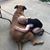 Allison Sorensen's profile image