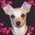 Gabby M.'s profile image