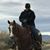 Sandy Caldwell's profile image