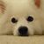 Lisa Blankenship's profile image