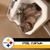 Richard Lee Baker's profile image