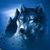 Mark Steven Oevering's profile image