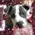 Kimberly Zerbe Tokonitz's profile image