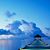 Susan Buesching's profile image