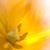 Sally Adams's profile image