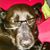 Mistine Segura Romero's profile image