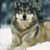 Candace Luffman's profile image