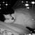 Autumn R Domstrand's profile image