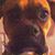 Glenda Thornburg-Ruch's profile image
