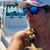 Marlene Yero's profile image