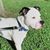Shelly MizzMitchell's profile image