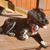 Tricia Parker Hamelberg's profile image