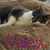 Aggie Laskey-Walters's profile image