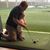 Brian Creswell's profile image