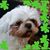 Sherri McArdle's profile image