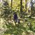 Maegann Elizabeth Jackson's profile image