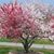 Allison Gerstner's profile image