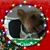 Patricia Brown's profile image