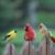 Nancy Baird's profile image