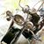 Stephen D'Ovidio's profile image