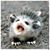 Diana Britt's profile image